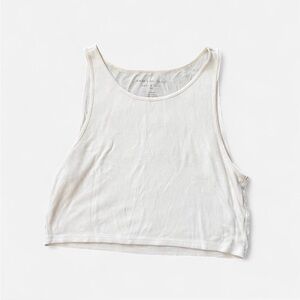 American Eagle Outfitters White Ribbed Crop Top